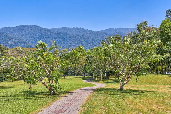 Güzel Taiping Lake Gardens veya Taman Tasik, Malezya
