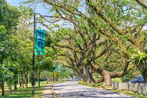 TAIPING, MALAYSIA - FEBRUARY 12, 2018: Beautiful Taiping Lake Gardens road or Taman Tasik