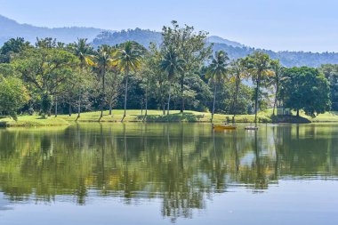 Güzel Taiping Lake Gardens veya Taman Tasik, Malezya