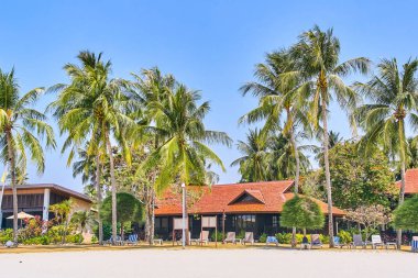 Langkawi Adası, Malezya Cenang Beach