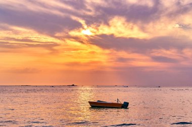 Defne pastoral günbatımı okyanus görmek
