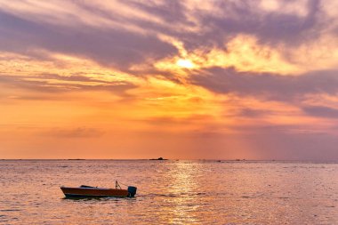 Defne pastoral günbatımı okyanus görmek