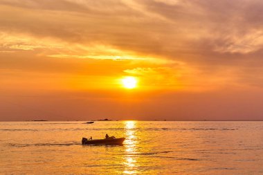 Defne pastoral günbatımı okyanus görmek