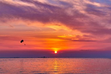 Defne pastoral günbatımı okyanus görmek