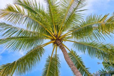 Mavi gökyüzü avucunda