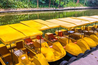 Yuexiu Park Su birikintisi Katamaran, Guangzhou, Çin
