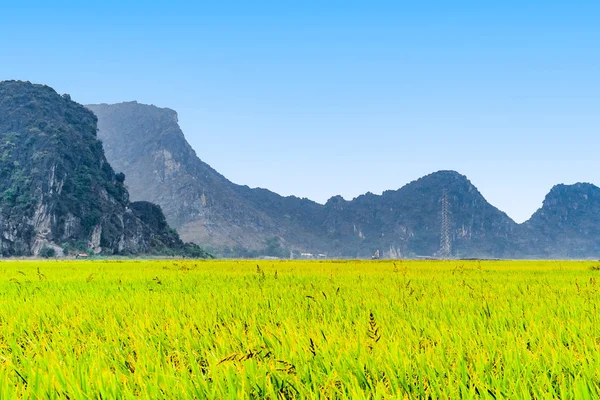 Гори Переглянути Лука Рису Ninh Binh Єтнам — стокове фото