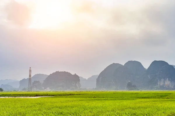 Bergen Bekijken Met Rijst Weide Ninh Binh Vietnam — Stockfoto