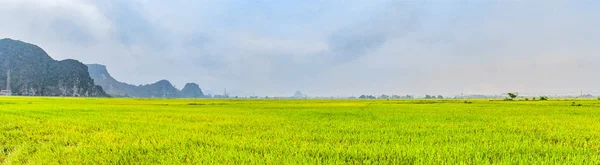 Panoramatický Pohled Rýže Louka Ninh Binh Vietnam — Stock fotografie
