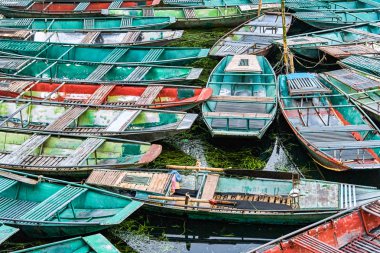 Ninh Binh, Vietnam 'da kayıklar