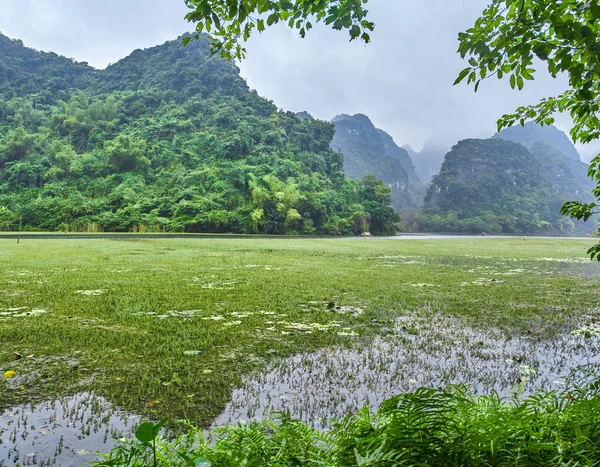 Mooie Mist Trang Ninh Binh Vietnam — Stockfoto