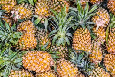 Satılık taze ananas