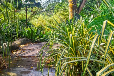 Perdana Botanical Garden view in Kuala Lumpur, Malaysia