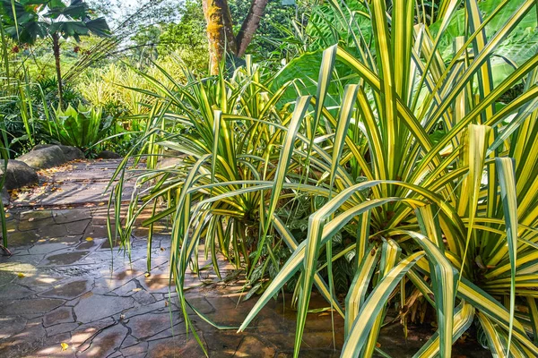 Perdana Botanical Garden view in Kuala Lumpur, Malaysia