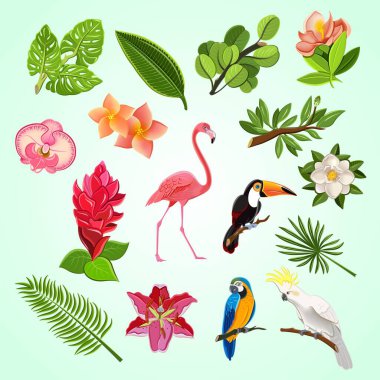 Tropikal bitkiler ve egzotik kuşlar