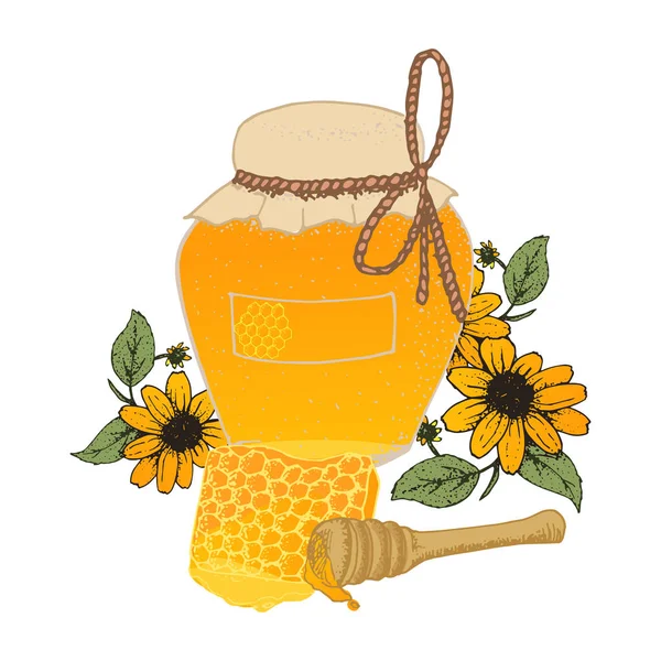 Honig Glas Und Wabenskizzen Natürliche Illustration Von Honigtopf Blume Und — Stockvektor
