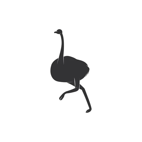 Emu Pássaro Correndo Silhueta Isolada Fundo Branco Sombra Avestruz Australiana — Vetor de Stock