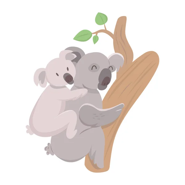 Koala Bear Baby Climbing Tree White Background Cute Mother Koala — Stock Vector