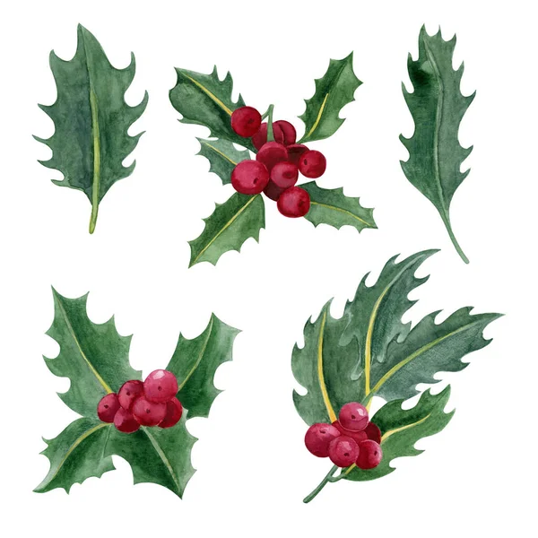 Holly Jaro Červenými Bobulemi Zelenými Listy Izolované Bílém Pozadí Akvarel — Stock fotografie