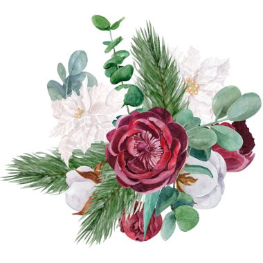 Güzel botanik buketi suluboya çizimi. Peony, okaliptüs, poinsettia, pamuk ve köknar ağacı dalı beyaz arkaplanda izole edilmiş..