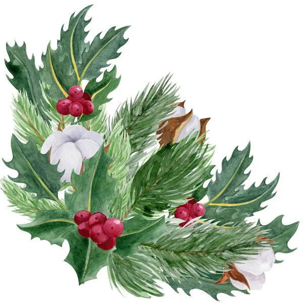 クリスマス植物境界水彩イラスト ホリー 綿とモミの木の枝は白い背景に隔離された — ストック写真