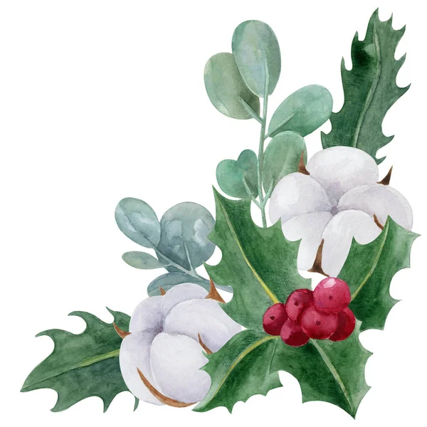 クリスマス植物境界水彩イラスト ホリー コットン オークタスは白い背景に隔離されています — ストック写真