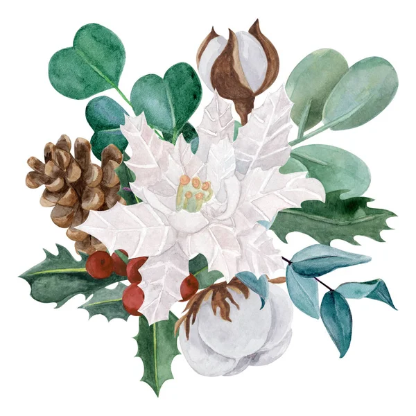 Vánoční Botanická Kytice Akvarel Ilustrace Poinsettia Bavlna Eukalyptus Borový Kužel — Stock fotografie