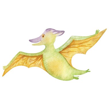 Dinozor klipsli suluboya çizimi. Pterodactyl uçuşu beyaz arkaplanda izole edildi.