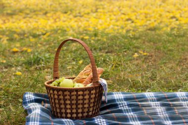 Piknik sepeti yeşillik ve yeşillik arka planı mavi bir ekose gıda ile. Meyve sepeti içinde pişirme, yazarın işleme.