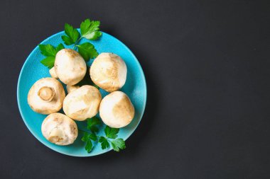 Beyaz taze petrol bir gri karanlık tabloda ahşap bir gemide maydanoz ile. Mantar. Uzay kopyalayın. Üstten Görünüm