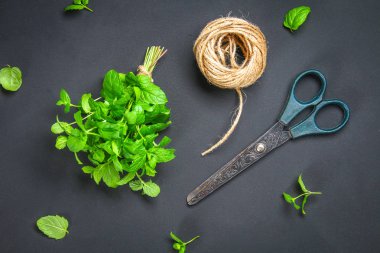 Taze ev yapımı yeşil nane ip sicim ile ve eski bir koyu gri beton masaya makas