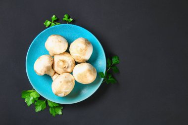 Beyaz taze petrol bir gri karanlık tabloda ahşap bir gemide maydanoz ile. Mantar. Uzay kopyalayın. Üstten Görünüm