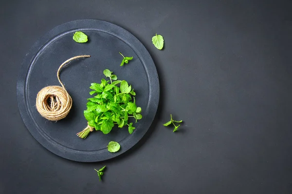 Fresh Homemade Green Peppermint Rope Twine Old Scissors Gray Dark — Stock Photo, Image