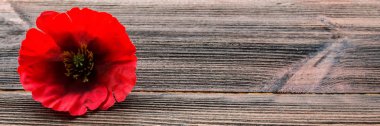 Memorial Day in America. Red poppy is a symbol of memory. Banner clipart