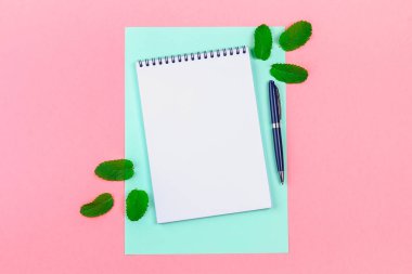 Boş bir defter ile mavi kolu ve nane bir mavi ve pembe pastel arka plan üzerinde bırakır. mock-up, çerçeve, şablon