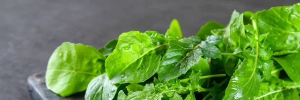 Fresh Green Home Arugula Leaves Rucola Salad — Stock Photo, Image