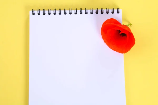 赤いケシの花と白空白のノートブック パステル背景が黄色に コピーのテキストのための領域 — ストック写真