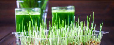 Buğday çimi vurdu. Buğday çimen suyu. Sağlık eğilimini