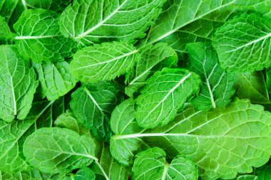 Yeşil nane dokusuna bırakır. Arka plan, kartpostal