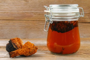 Huş mantar chaga çaydan şifa halk tıbbında kullanılır