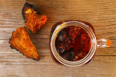 Huş mantar chaga çaydan şifa halk tıbbında kullanılır