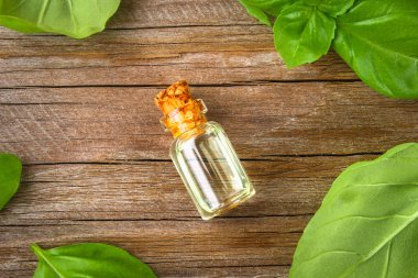 Fesleğen esans taze fesleğen ile bir şişe bir masada bırakır