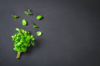 Taze ev yapımı yeşil nane bir gri karanlık beton tablo
