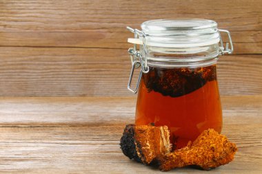 Huş mantar chaga çaydan şifa halk tıbbında kullanılır