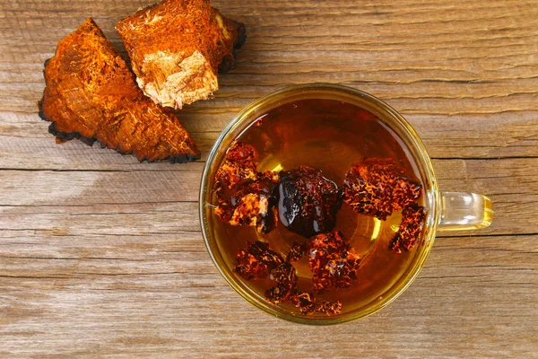 Huş mantar chaga çaydan şifa halk tıbbında kullanılır