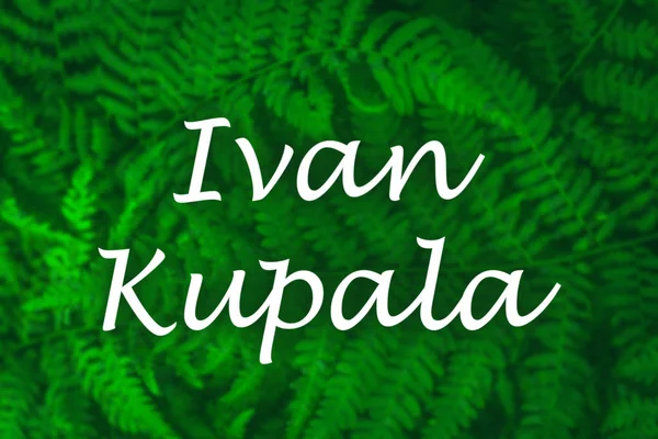 Vacances Russes Ivan Kupala Belles Fougères Feuilles Vertes Fond Naturel — Photo