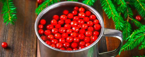 Morse Chá Cowberry Uma Caneca Lata Cercada Por Ramos Abeto — Fotografia de Stock