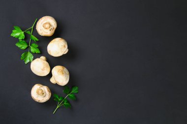 Beyaz taze petrol bir gri karanlık tabloda ahşap bir gemide maydanoz ile. Mantar. Uzay kopyalayın. Üstten Görünüm