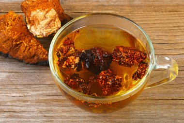 Huş mantar chaga çaydan şifa halk tıbbında kullanılır