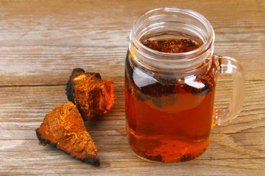 Huş mantar chaga çaydan şifa halk tıbbında kullanılır